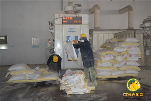 標(biāo)桿工廠，再創(chuàng)輝煌 浙江播恩預(yù)混料與教槽料產(chǎn)銷量破10000噸慶典隆重舉行